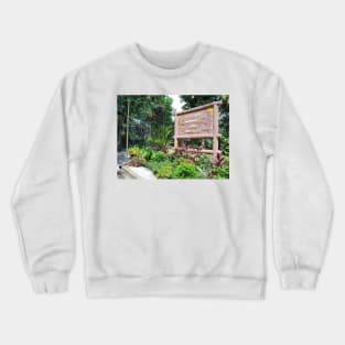 alligators and crocodiles, carlson imagery, carlson, carlsonimagery4u, nature, wildlife, watercolor, alligator, crocodile, crocodilian, brown, gray, estes, park, colorado Crewneck Sweatshirt